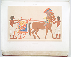 海外美術館が所蔵しているオリジナル図案